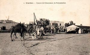 Ghardaia - Course de Chameaux - Presentation